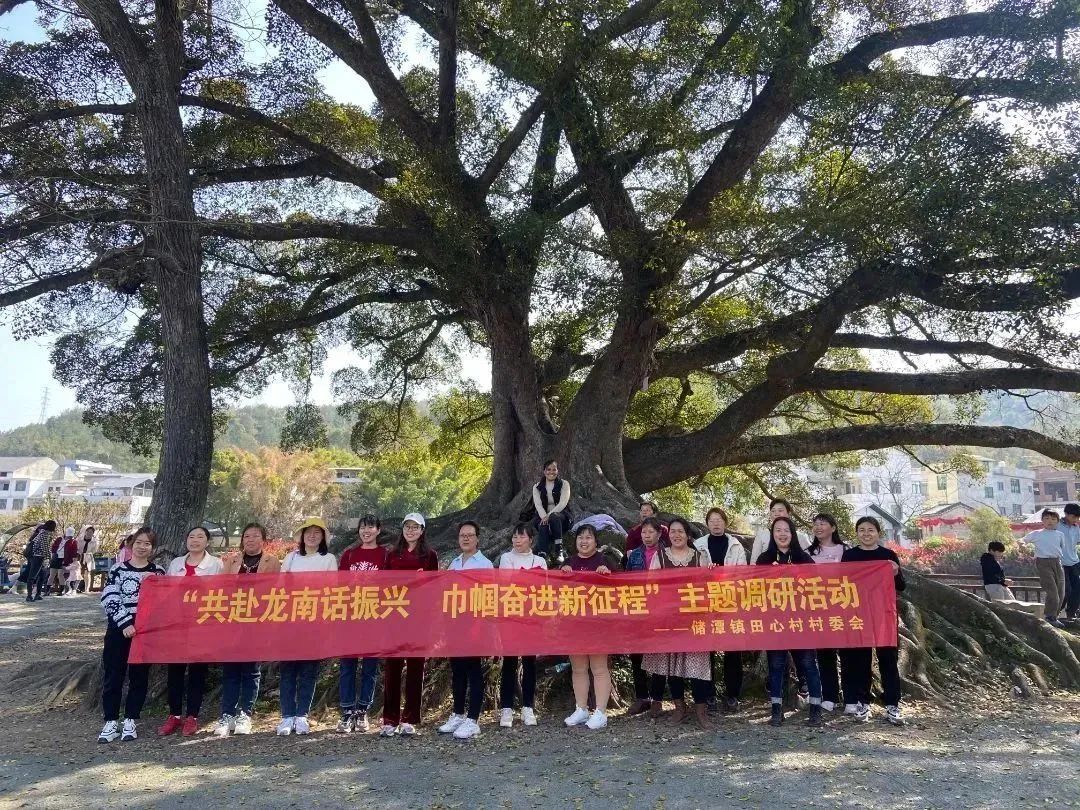 微信图片_20230306105333.jpg 图片